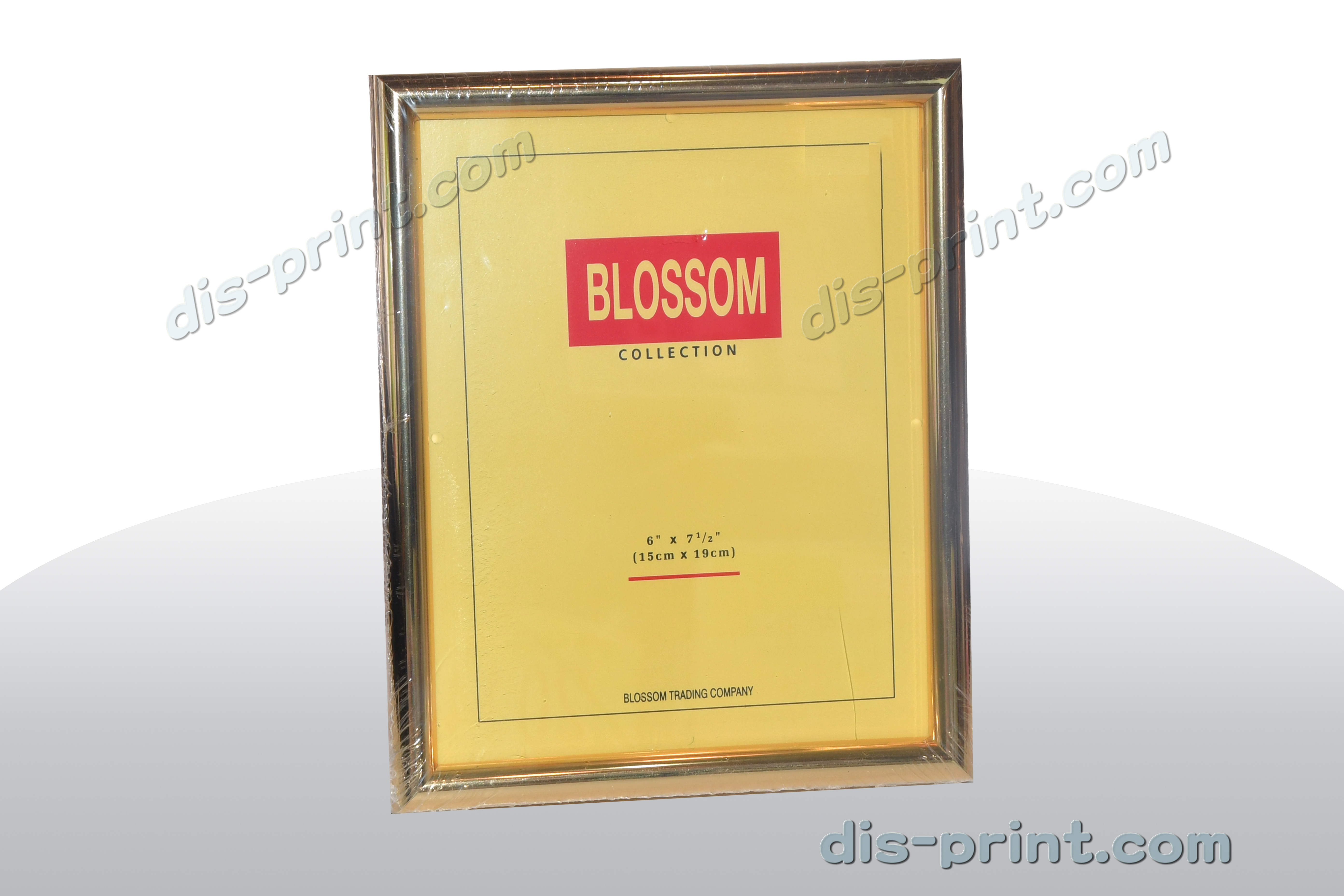  Gold/Silver Business Registration Certificate Photo Frame (glass surface)BP
